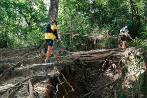 BIB: 
                            <button type="button" onclick="openModal(27799945)" class="btn btn-primary btn-sm float-right btn-popup" data-toggle="modal" data-target=".modal-high-quality">
                        <i class="fas fa-shopping-cart"></i> Add to Cart
                    </button>
                                            <button type="button" onclick="isThisMe(27799945, true)" class="btn btn-success btn-sm float-right btn-popup btn-isme hidden" data-toggle="tooltip" data-placement="bottom" title="นี่คือรูปของคุณใช่ไหม คลิกที่นี่เพื่อเอาเข้าอัลบั้ม">
                        <i class="fas fa-plus"></i> Add to album
                    </button>
                    <button type="button" onclick="isThisMe(27799945, false)" class="btn btn-warning btn-sm float-right btn-popup btn-isnotme hidden">
                        <i class="fas fa-ban"></i> Remove from album
                    </button>